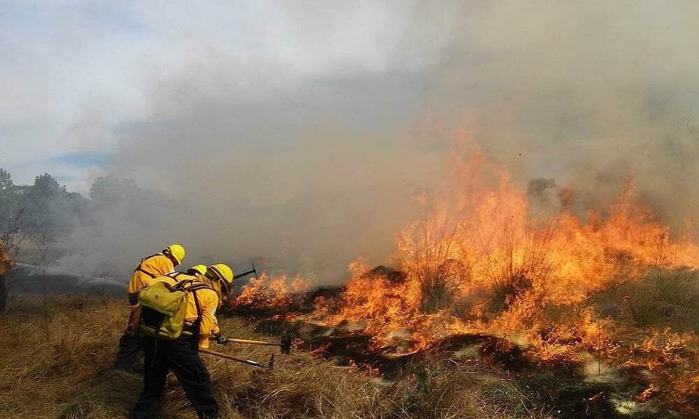 Incendios forestales en el Tolima han consumido más de 1 000 hectáreas