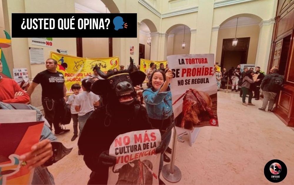 ¡Oficial! Se prohibirán las corridas de toros en Colombia - Enfoque TeVe